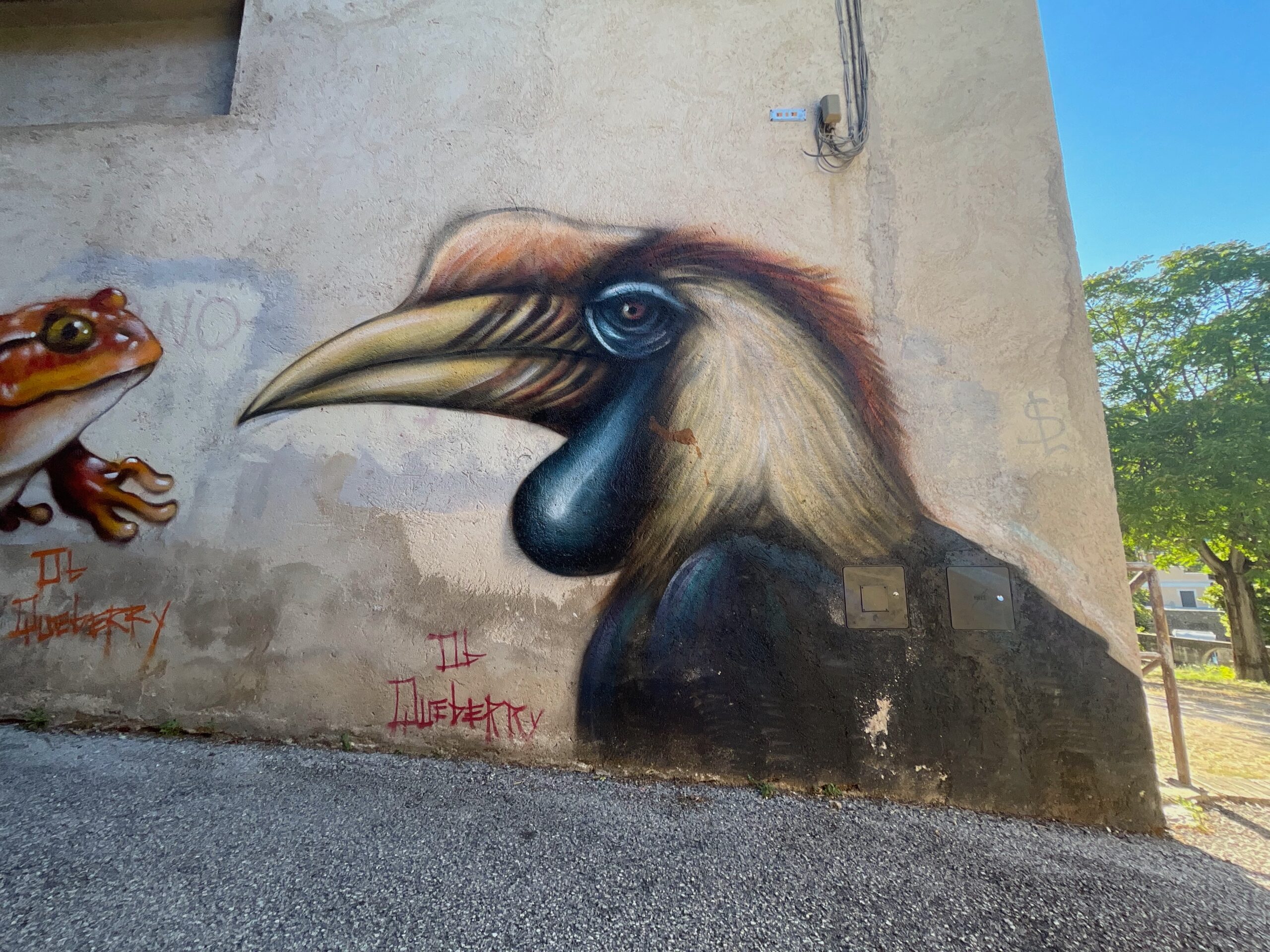 Opera di street art realizzata all’angolo di un grande edificio raffigurante il profilo un casuario, un grande uccello di origine preistorica.