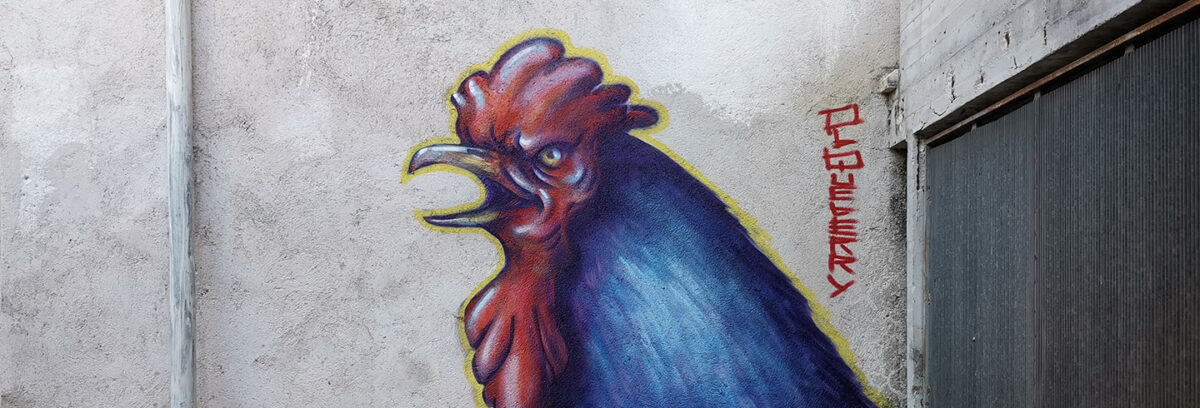 Opera di street art raffigurante una grande testa di gallo su un muro