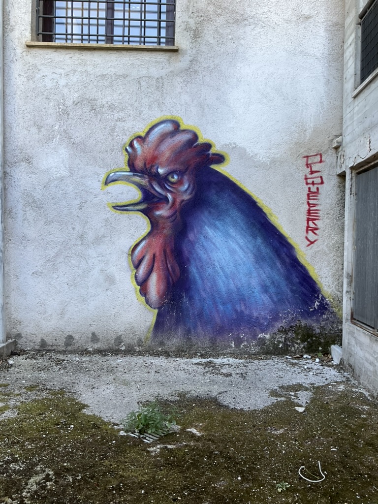 Opera di street art raffigurante una grande testa di gallo su un muro
