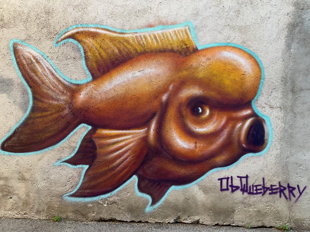 Opera di street art realizzata su un muro raffigurante un pesce rosso di grandi dimensioni