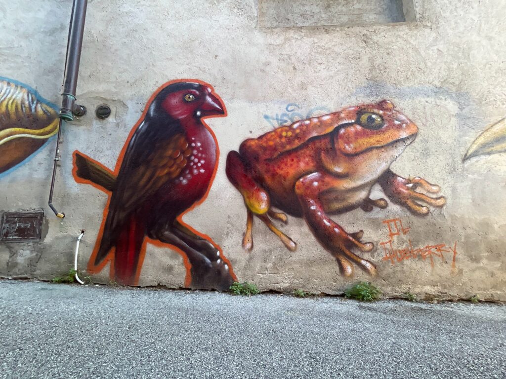 Opera di street art realizzata su un muro raffigurante a sinistra un uccello simile a un passero e a destra una rana
