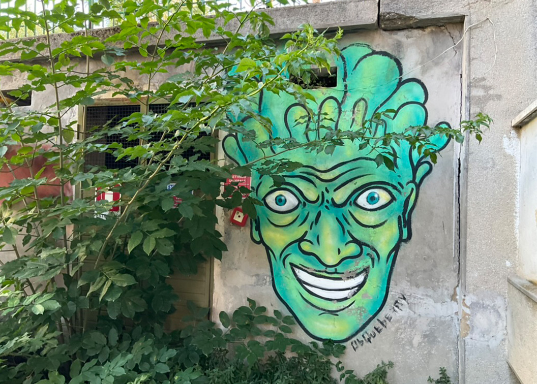 Piccolo edificio abbandonato avvolto dalla vegetazione su cui è realizzata un’opera di street art raffigurante un volto umano sorridente e dagli occhi spalancati