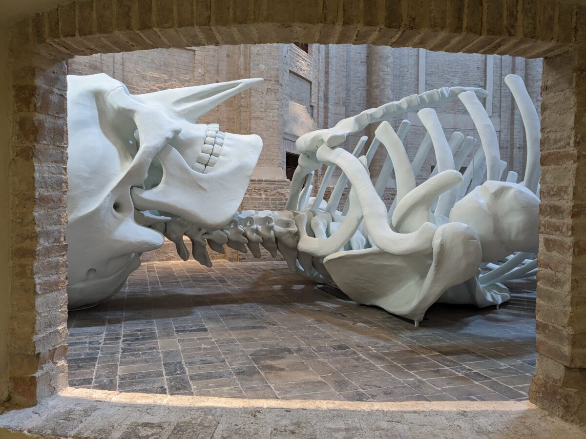 Foto laterale della testa e la parte superiore del torace dello scheletro della Calamita Cosmicav visti da un arco squadrato in mattoni situato all’interno della Ex Chiesa della Santissima Trinità a Foligno dove la scultura è collocata.